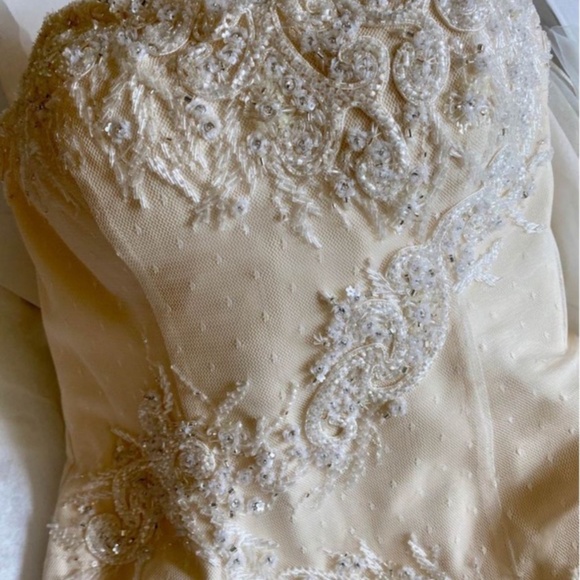 Matthew Christopher Wedding Dress - Picture 8 of 12